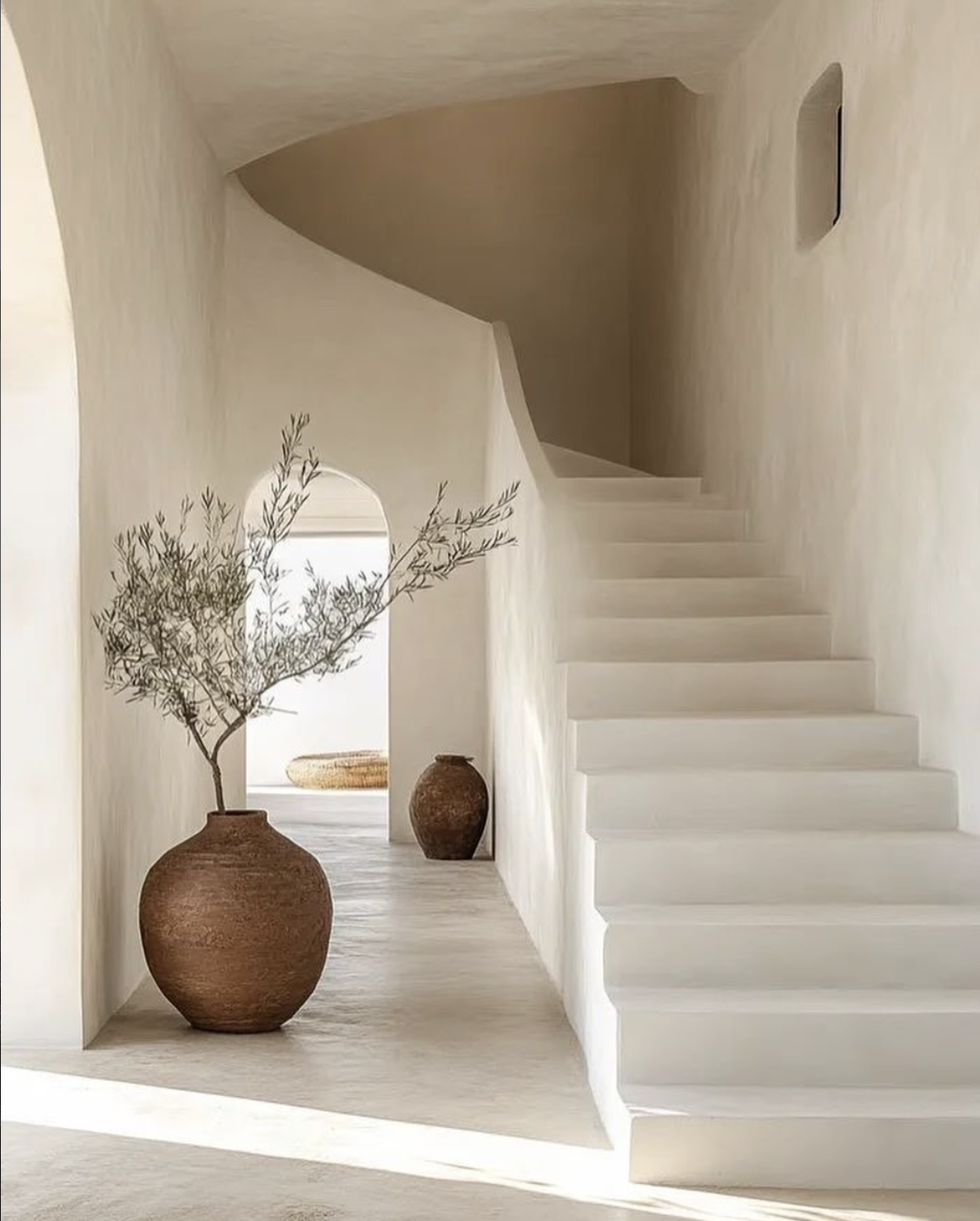 Mediterraner Flur mit Olivenbaum und Trockenmauer